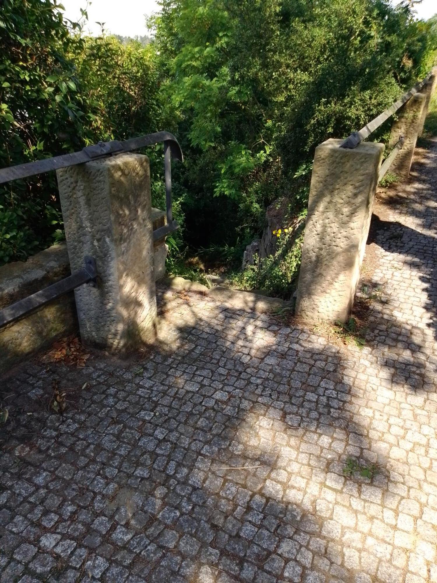 Privatunterkunft Dresden-entspannung-natur-trifft-2-staedte-am-fluss Dresden